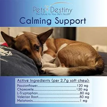 Calming Treats for Dogs - Soothing Chews for Anxiety Relief