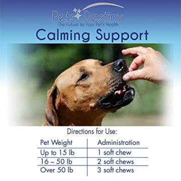 Calming Treats for Dogs - Soothing Chews for Anxiety Relief