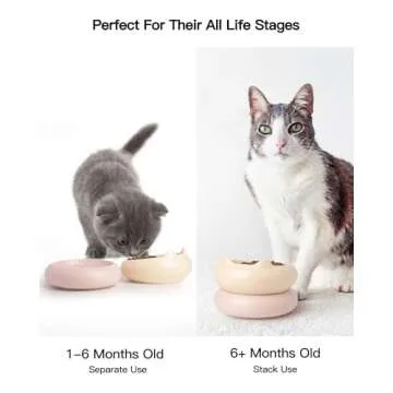 Ceramic Raised Cat Bowl, 2 in 1 Elevated Cat Food and Water Bowl Set for Indoor Cats, Whisker Friendly Cute Kitten Food Bowl for Protecting Pet's Spine, 2 Pack (Yellow+Morandi Pink)