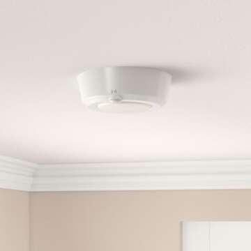 LUXSWAY Wireless Ceiling Light with RF Remote and Motion Detector, Cool Warm White Shower Light,Supe...