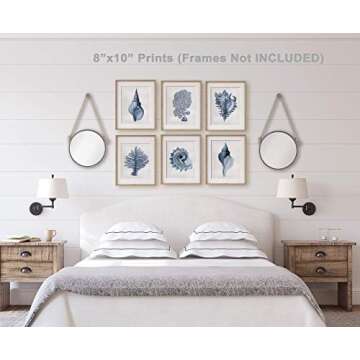 Vintage Shell Prints, Beach House Art, Coastal Art, Prints and Canvas, Coral Print, Illustration, Navy, Indigo, UNFRAMED