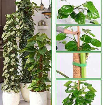 2 Pack 45" Bendable Moss Pole for Climbing Plants, Monstera Moss Poles Coco Coir Plant Stakes, Slim Moss Stick, Potted Plants Support Stakes, Perfect for Small Medium Climbing Plant Growth Indoor