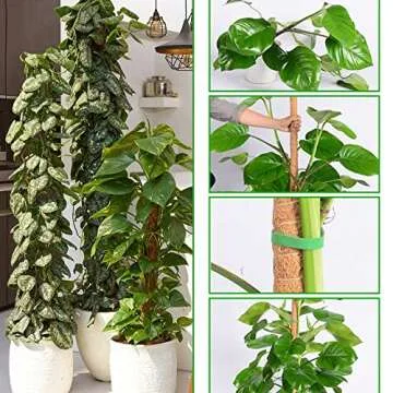 2 Pack 45" Bendable Moss Pole for Climbing Plants, Monstera Moss Poles Coco Coir Plant Stakes, Slim Moss Stick, Potted Plants Support Stakes, Perfect for Small Medium Climbing Plant Growth Indoor