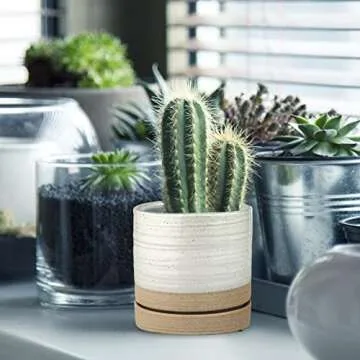 HERDUK 6 Inch Plant Pots, Ceramic Planter Pot with Drainage Hole & Saucer, Indoor/Outdoor Cylinder Round Planter Pot, White & Beige Glaze