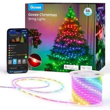 Govee Smart RGBIC Christmas Lights - 66ft String Lights