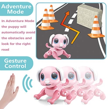 RACPNEL RC Robot Dog Toy for Kids - Interactive Fun