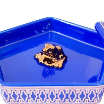 Harry Potter Chocolate Frog Trinket Tray for Jewelry & Mementos
