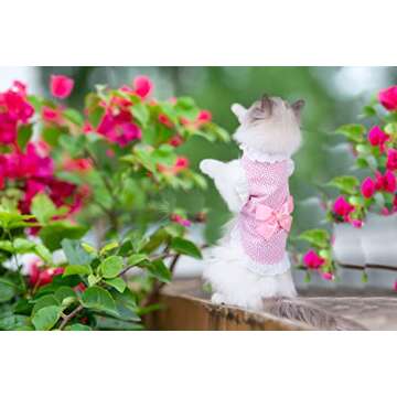 Puppy Dog Cute Princess Elegant Floral Dress,Cotton Lace Skirt with Bowknot for Small Dogs Cats （Pink XXXS）
