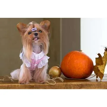 Puppy Dog Cute Princess Elegant Floral Dress,Cotton Lace Skirt with Bowknot for Small Dogs Cats （Pink XXXS）