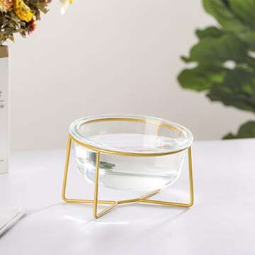 Small Glass Tilted Elevated Cat Dog Bowl Raised Cat Food Water Bowl Dish Pet Comfort Feeding Bowls with Gold Iron Stand