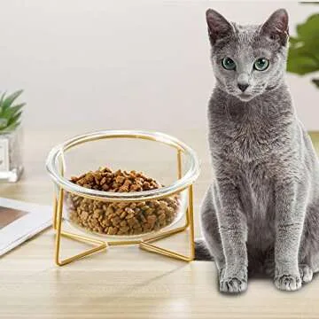 Small Glass Tilted Elevated Cat Dog Bowl Raised Cat Food Water Bowl Dish Pet Comfort Feeding Bowls with Gold Iron Stand
