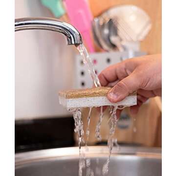 Eco Friendly Kitchen Scrubber - MAGIX WORLD Sponges 10 Pack