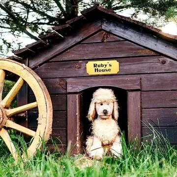 Therwen 30 Pcs Name Plates Laser Engraved Brushed Stainless Steel Plate Personalized Plaque Blank Custom Name Tag Frame Name Label with Adhesive Backing(Gold Notched Corner,6''x 2.5'')
