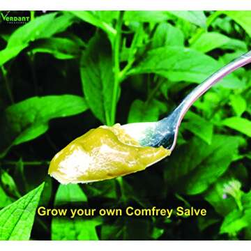 Russian Comfrey Bocking-14 Cultivar, 12 Cuttings for Growing Your Own Medicinal Salve, Compost Tea & Animal Fodder