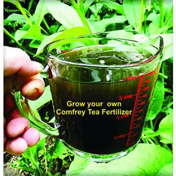 Russian Comfrey Bocking-14 Cultivar, 12 Cuttings for Growing Your Own Medicinal Salve, Compost Tea & Animal Fodder