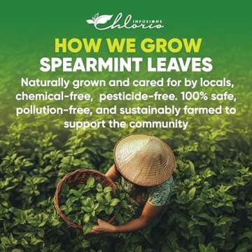 Chloris Infusions - 100% Natural Spearmint Leaves Tea Bag, 2g/bag | Single Ingredient, Handpick Spearmint Tea | Pure Spearmint Leaves | No Sugar, No Strings, Herbal Tea Gift for Health and Wellness