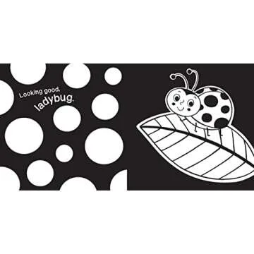 Hello Garden Bugs High-Contrast Board Book for Babies