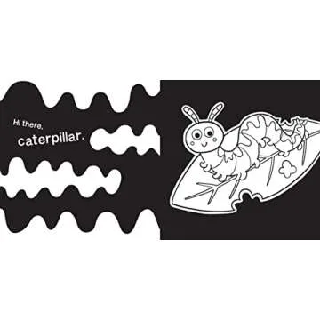 Hello Garden Bugs High-Contrast Board Book for Babies