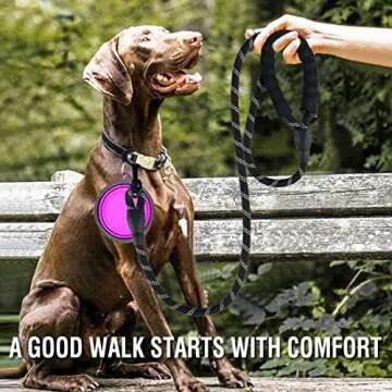 COOYOO 2 Pack Dog Leash 5 FT Heavy Duty - Comfortable Padded Handle - Reflective Dog Leash for Mediu...