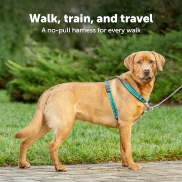PetSafe 3 in 1 Dog Harness - No Pull & Reflective Safety