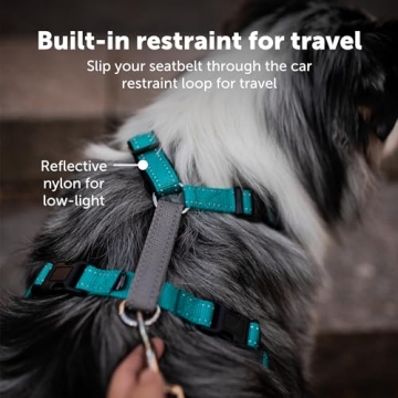 PetSafe 3 in 1 Dog Harness - No Pull & Reflective Safety