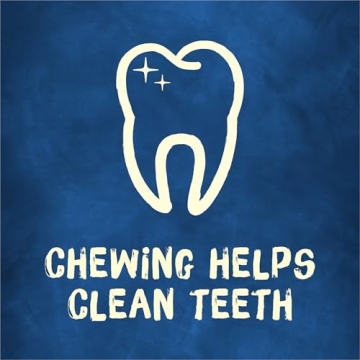 Purina Busy Dog Bones Chews for Small Pups 60 ct