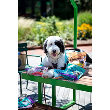 Pet Jerky Factory Turkey & Pumpkin Dog Treats 5 oz