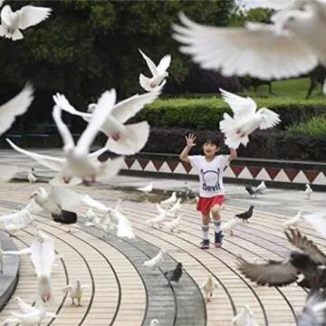 Pigeon Cage Combination Package Bird Cage Large Pigeon Nest Box Matching Pigeon Cage Supplies Solid ...