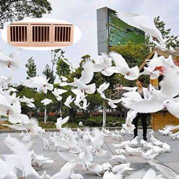 Large Pigeon Nest Box for Racing and Breeding Needs