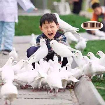 Large Pigeon Nest Box for Racing and Breeding Needs