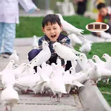 Large Pigeon Nest Box for Racing and Breeding Needs