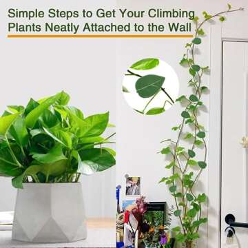 Invisible Plant Clips for Wall Support and Organization