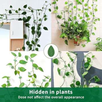 Invisible Plant Clips for Wall Support and Organization