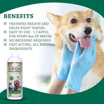 Mad About Organics Oral Care Water Additive for Cats & Dogs – Gentle Dental Support – Reduces Br...