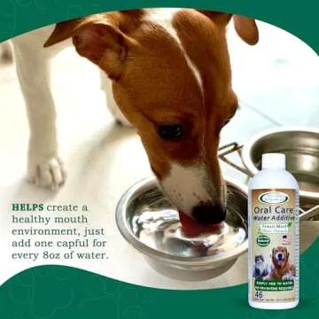 Mad About Organics Oral Care Water Additive for Cats & Dogs – Gentle Dental Support – Reduces Breath Odors, Promotes Gum Health – No Brushing – Convenient for Daily Use, Fresh Mint Flavor, 16 FL oz