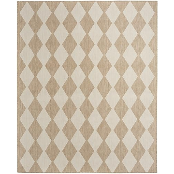 Nourison 8x10 Indoor-Outdoor Checkered Area Rug