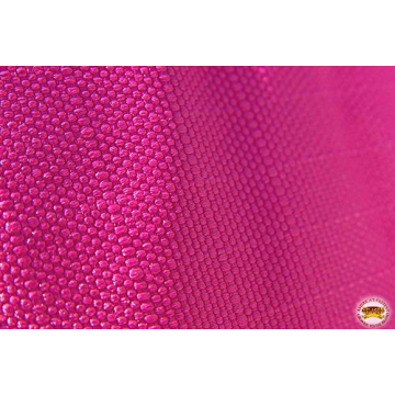 HILASON 1200D Winter Waterproof Horse Blanket for Winter