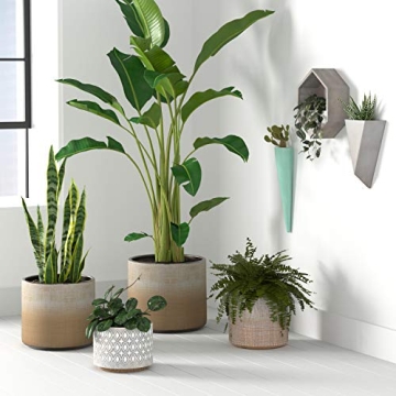 Rivet Rustic Stoneware Crosshatch Planter for Chic Decor