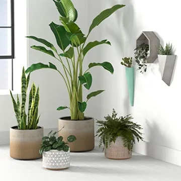 Rivet Rustic Stoneware Crosshatch Planter for Chic Decor