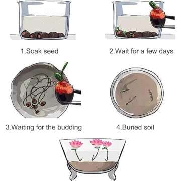 ZEshops 20pcs Mixed Pink, Red & Green Color Bowl Lotus Seeds for Planting Beautiful Water Plants for Indoor Bonsai, Outdoor Ponds (Lotus Seeds (for Germination))