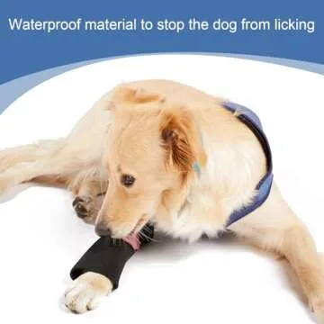 Dog Recovery Suit, Cone Collar Alternative, Abrasion Resistant Dog Recovery Sleeve, Washable 2.5mm Thick and Waterproof, Pet Wounds Prevent Licking, Bite, Keep Dry (XXL)