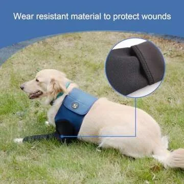Dog Recovery Suit, Cone Collar Alternative, Abrasion Resistant Dog Recovery Sleeve, Washable 2.5mm Thick and Waterproof, Pet Wounds Prevent Licking, Bite, Keep Dry (XXL)
