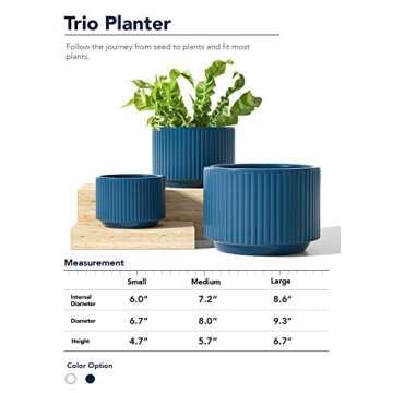 LE TAUCI Plant Pots, Large Planter Ceramic, 9.3+8+6.7 inch Flower Pot for Plants with Drainage Holes, Garden Planters Outdoor, Indoor House Plants, Cylinder Planter for Home, Set of 3, Navy