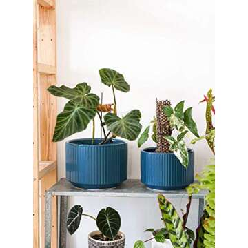 LE TAUCI Plant Pots, Large Planter Ceramic, 9.3+8+6.7 inch Flower Pot for Plants with Drainage Holes, Garden Planters Outdoor, Indoor House Plants, Cylinder Planter for Home, Set of 3, Navy