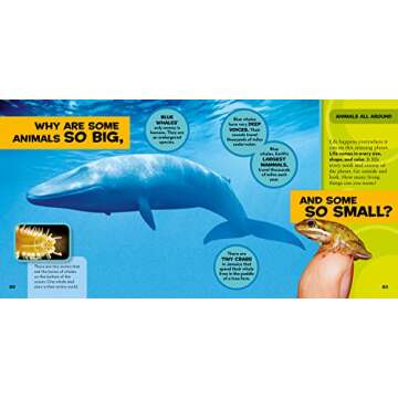 National Geographic Little Kids First Big Book of Why (National Geographic Little Kids First Big Books)