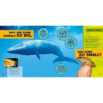 Engaging Children's Book for Curious Learners