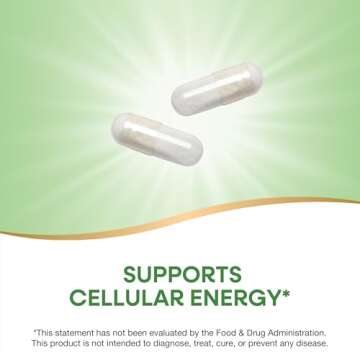 Nature's Way Pantothenic Acid with 500mg Energy Support – 100 Capsules