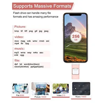 Sunany USB Flash Drive 256GB - Stellar Data Storage Solution