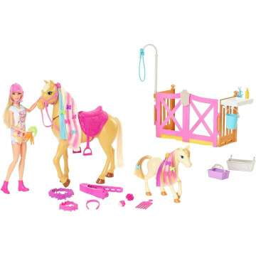 Barbie Groom 'n Care Horses Playset with Doll