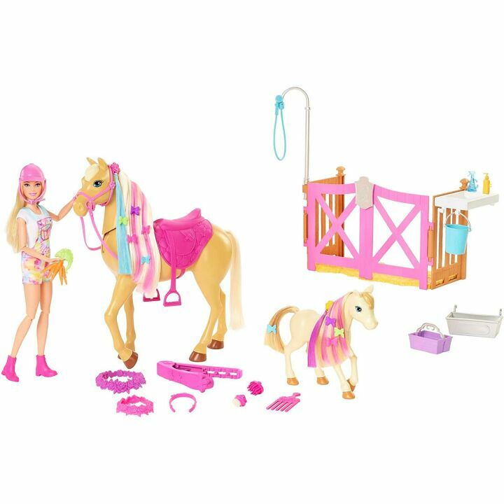 Barbie Groom 'n Care Horses Playset with Doll